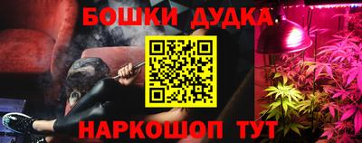 мяу мяу мука Ачхой-Мартан