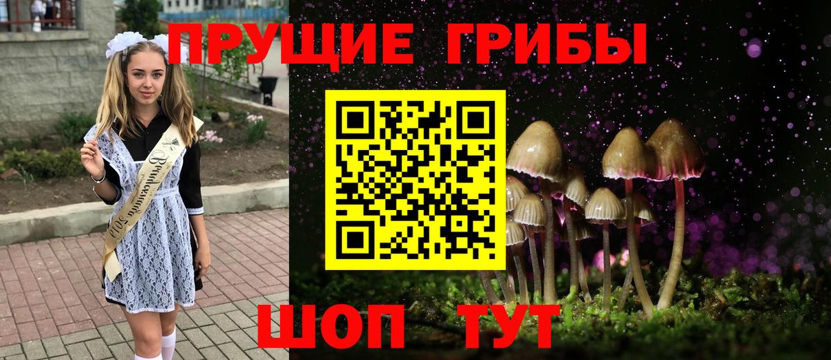 Галлюциногенные грибы GOLDEN TEACHER  Вход с VPN  Псилоцибиновые грибы Magic Shrooms  Алексин 