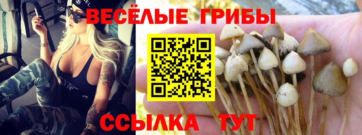 Галлюциногенные грибы ЛСД Алексин